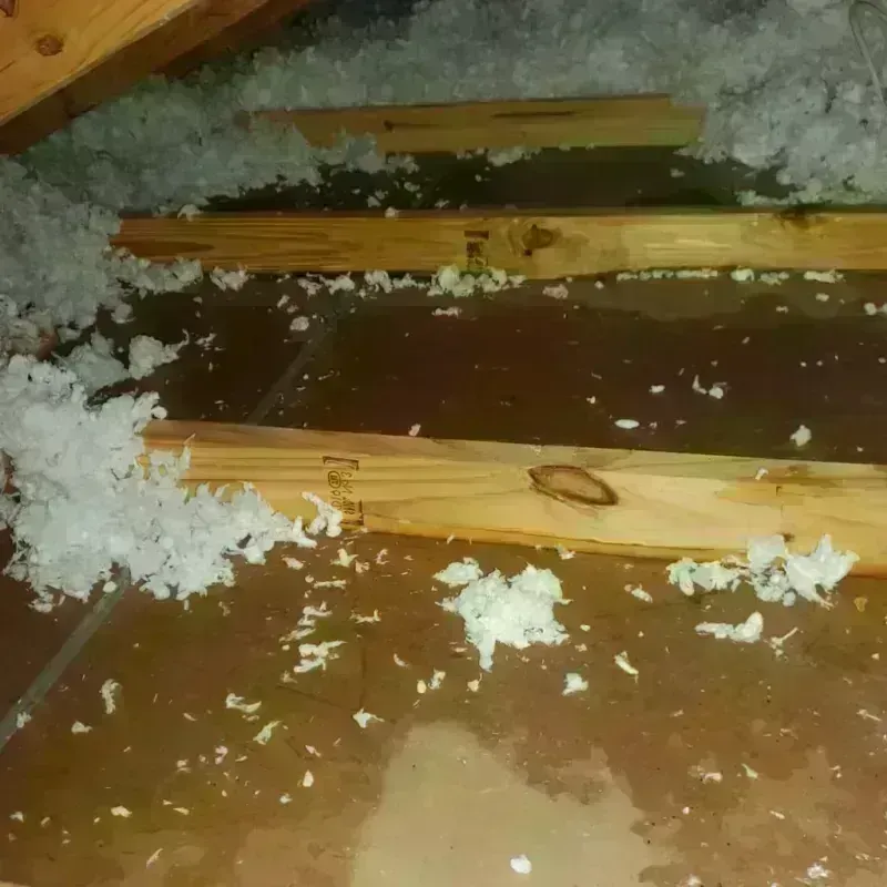 Attic Water Damage in Reagan County, TX