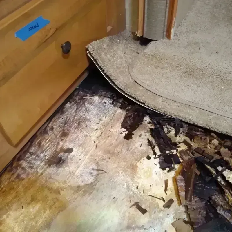 Best Wood Floor Water Damage Service in Reagan County, TX